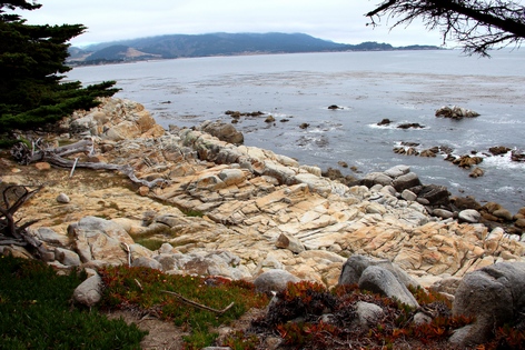 ��������� ����������